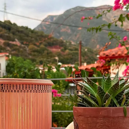Ianos Maisonette * Paralia Sergoulas
