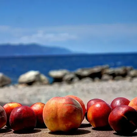 度假居 Ianos Maisonette Paralia Sergoulas